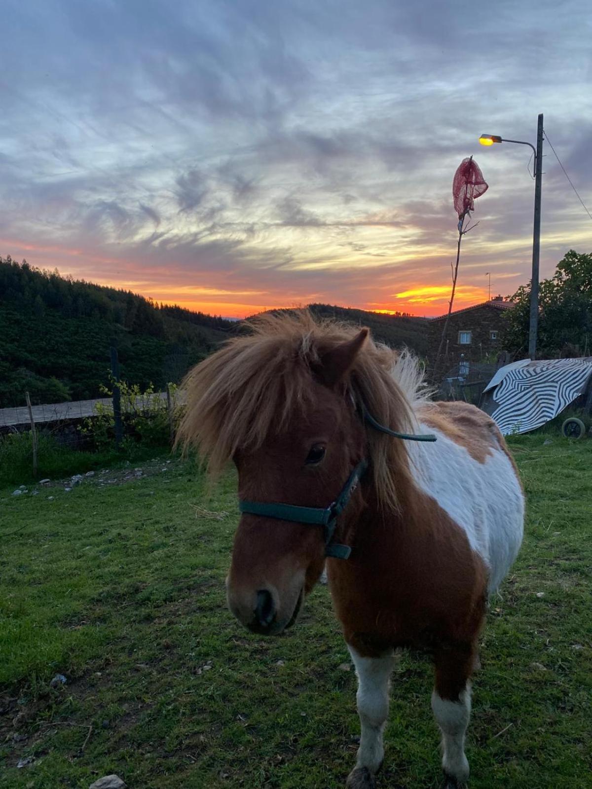 Casinha Por Do Sol Villa อัลเดอาดัสเดซ ภายนอก รูปภาพ